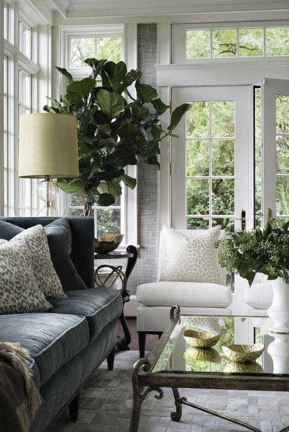 traditional living room decor plants