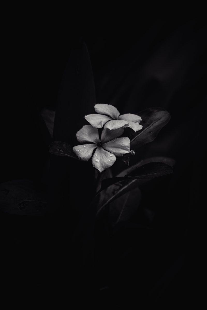 dark wallpaper iphone