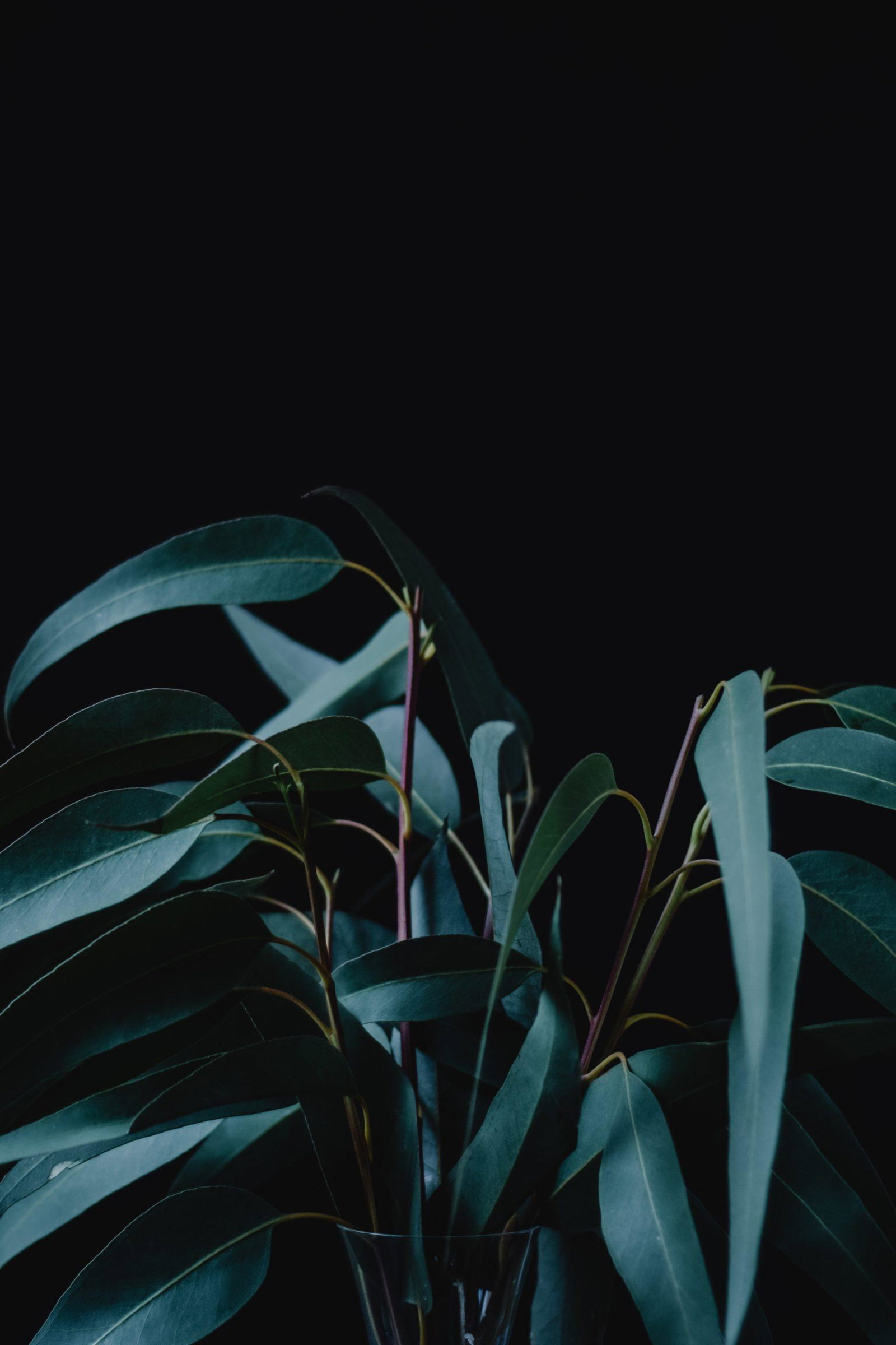 33 Aesthetic Dark Wallpapers For iPhone (Free HD Download)